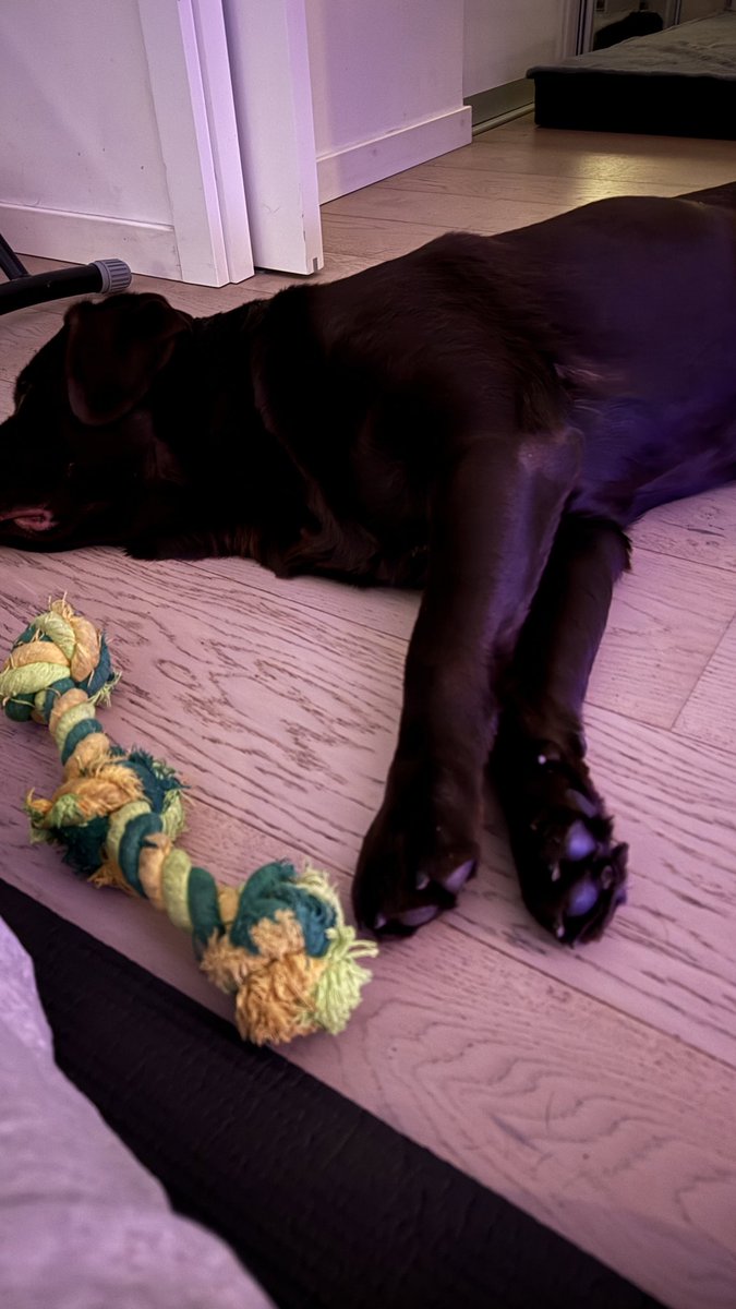 Ik ben aan het stretchen. Toobs ook.