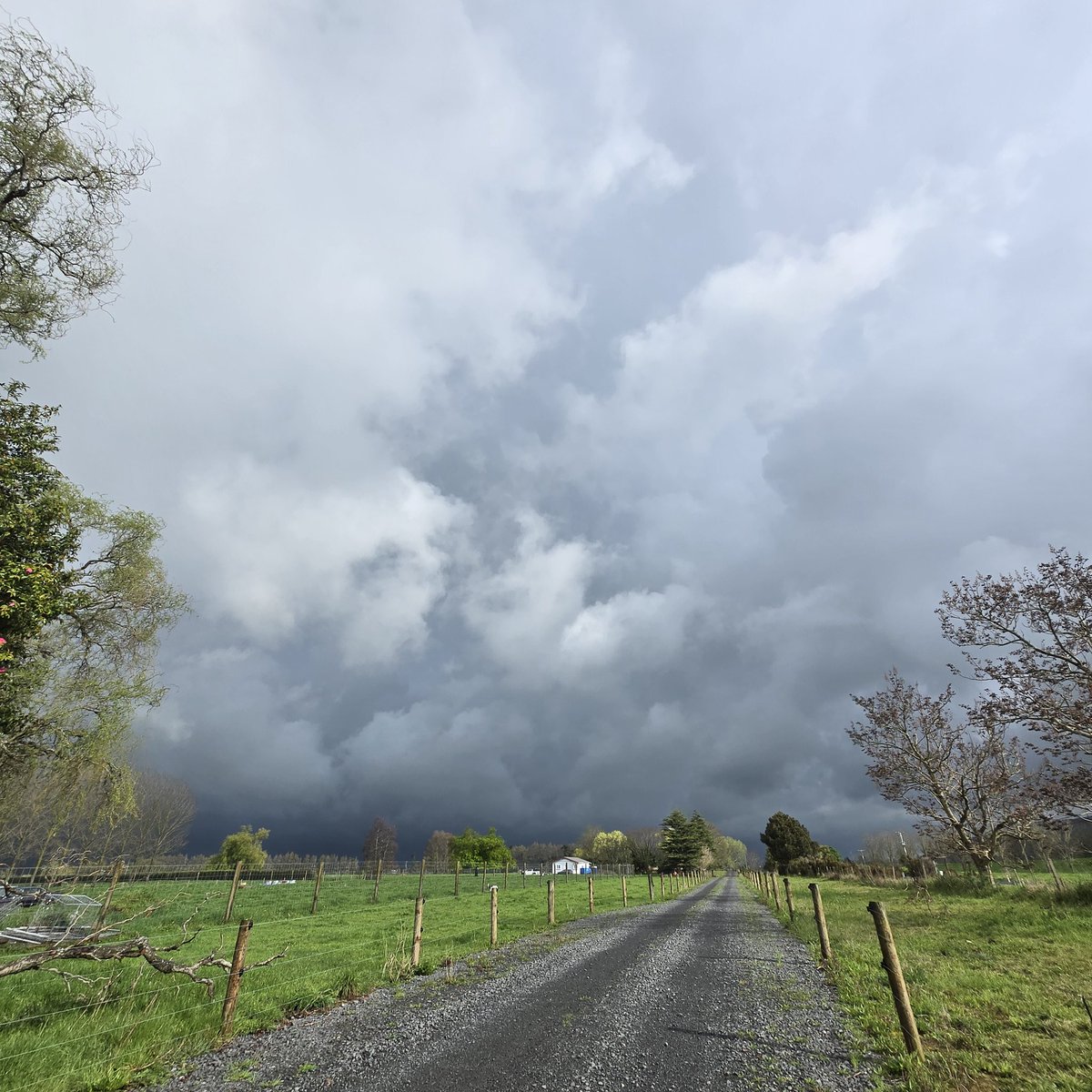 Omg <a href="/WeatherWatchNZ/">WeatherWatch.co.nz</a>  <a href="/MetService/">MetService</a>  <a href="/HaurakiGulfWx/">Hauraki Gulf Weather</a> ... this beauty rolled over nicely.
Havent had a decent thunderstorm in a looooong time.
Videos to come 🌦🌩