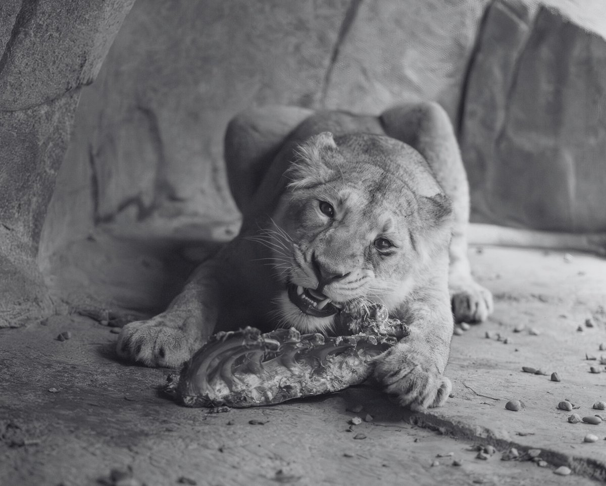 Your Friday Happy Hour is officially served. Please enjoy responsibly! #Headlines #happyhour #teamtriad #publicaffairs

na2.hubs.ly/H01pGw_0