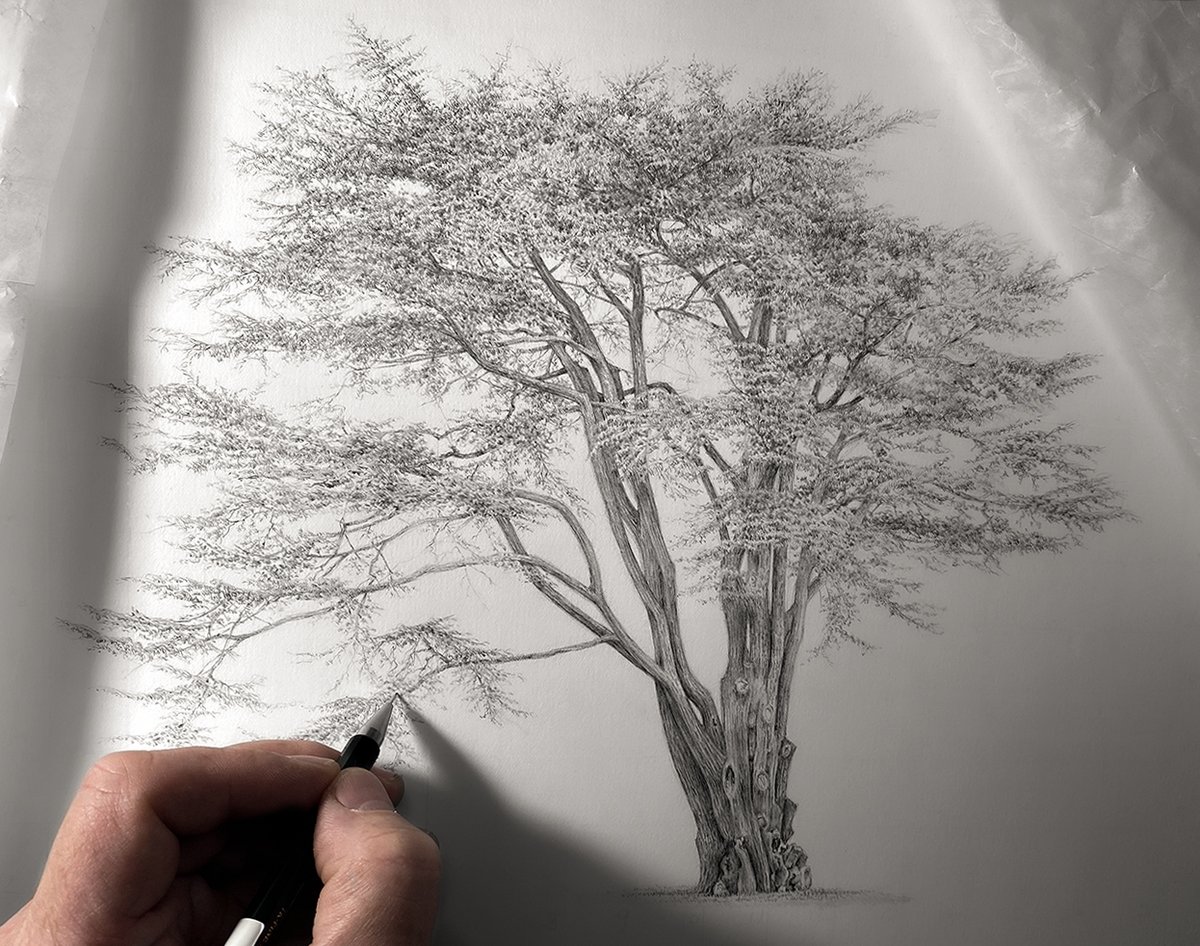 Richard Geraint Evans tweet media