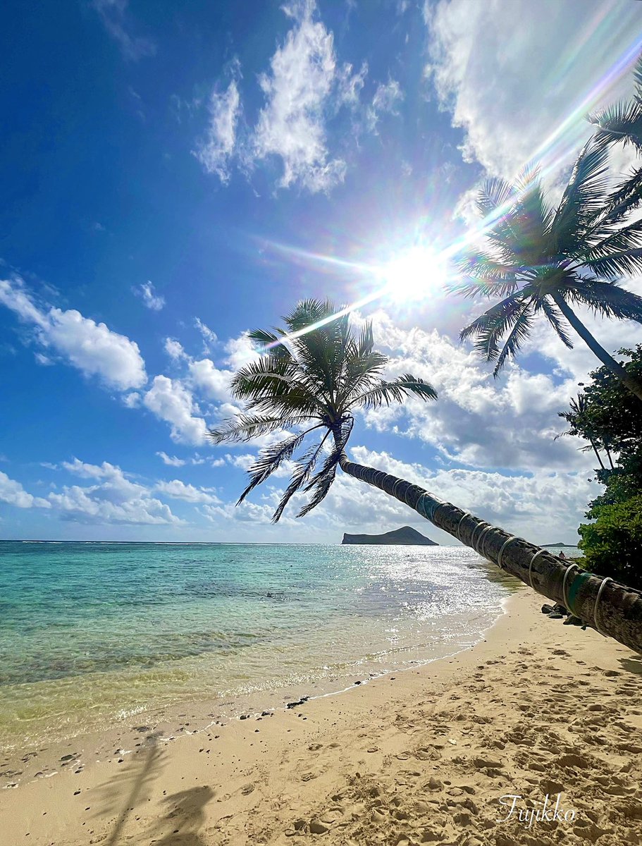 hawaiifujikko's tweet image. 🌴Hawai’i        

              🫧⋆𓈒･:*࿐ 𝑅𝑒𝓁𝒶𝓍𝒾𝓃𝑔 𝓉𝒾𝓂🏝️