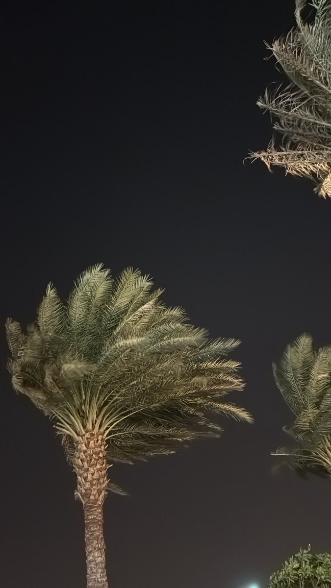 آخر آيامِ الصيفييا