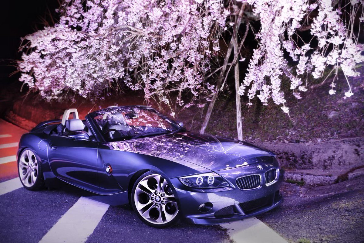 📸🍚おかわり君 tweet media