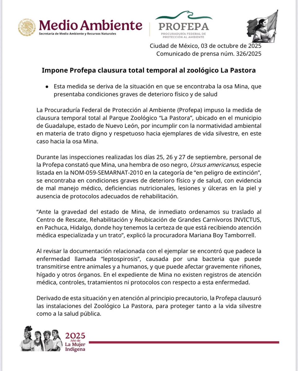 🚨#UltimaHora: Clausuran el Zoológico La Pastora en Guadalupe tras detectar malas condiciones en las que vivía la osa "Mina".

La Profepa informó que el cierre es temporal hasta que el parque cumpla con las medidas de bienestar animal exigidas. "Mina" ya fue trasladada a un