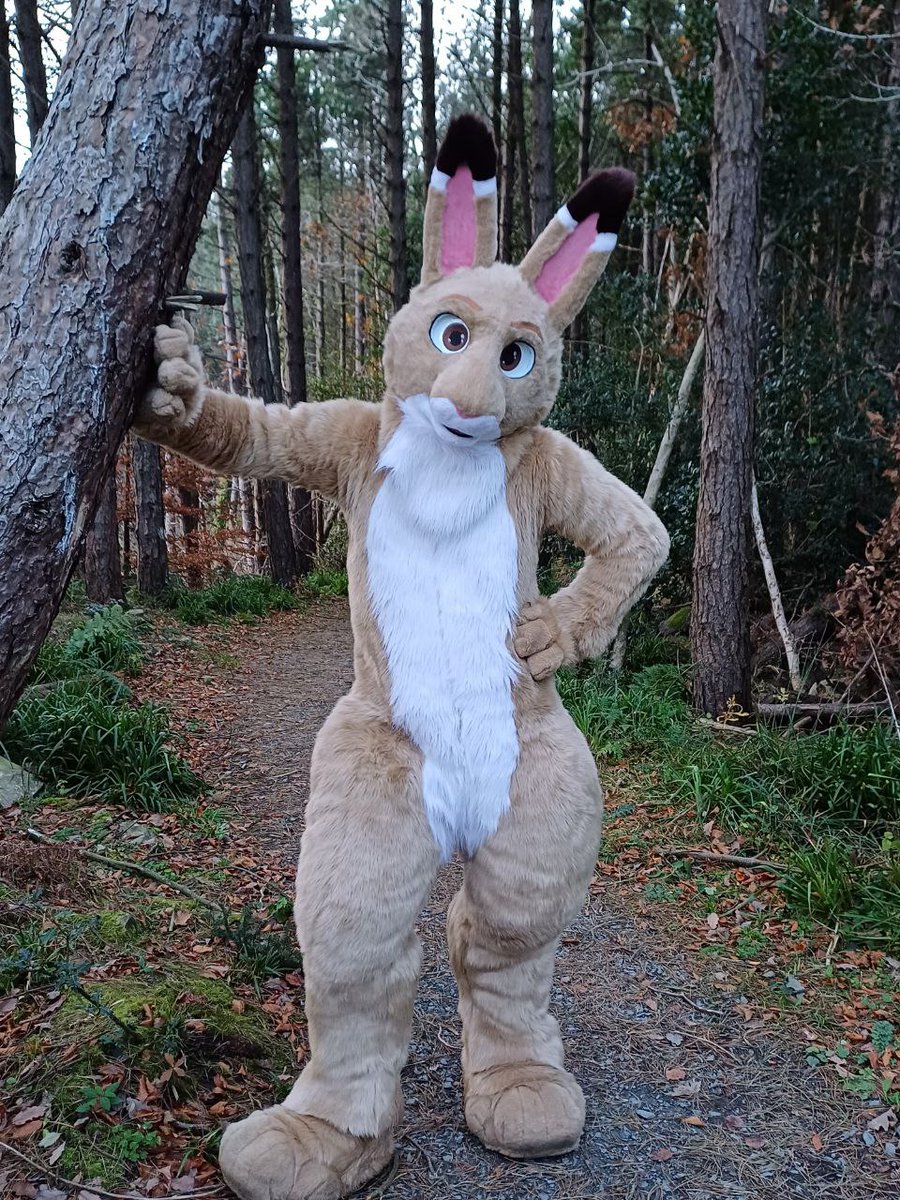 JarlathHare's tweet image. Hey there! Come join me for a nice autumn walk in the woods. 🍁🍂🐰🐾
#FursuitFriday 

🧵: @CassiusRed
📷: @Kitsuna_Wolf