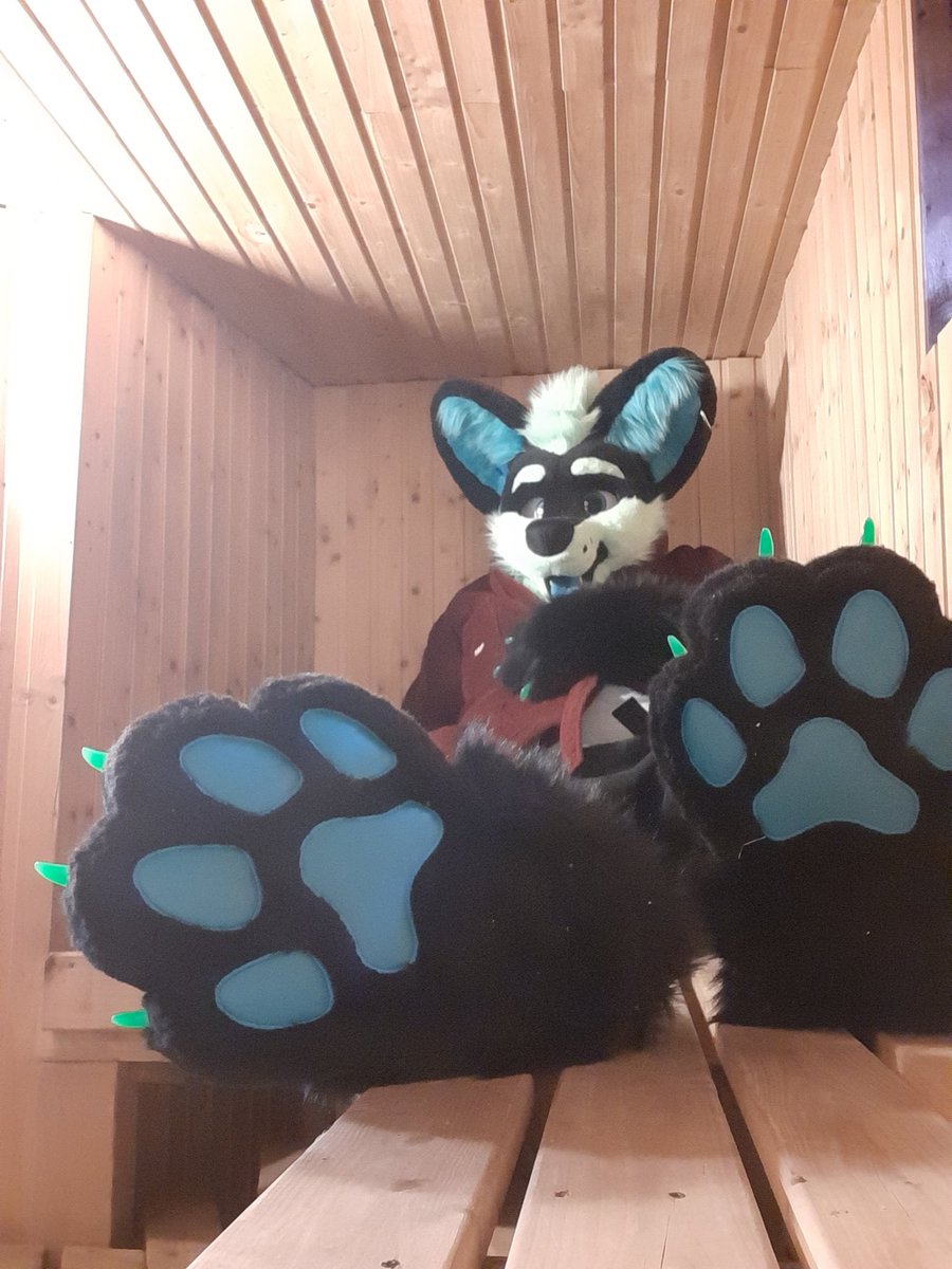 Arrack the sauna wuffer ๐ณ๏ธโ๐ ๐ NFC 25 (@arrackwolf) on Twitter photo Some sauna to relax for this #FursuitsFriday!
#furry #furryfandom #furrycommunity
๐ชก <a href="/TheKarelia/">TheKareliaFursuits ๐ Furnavia + Scotiacon + NFC</a> Some sauna to relax for this #FursuitsFriday!
#furry #furryfandom #furrycommunity
๐ชก <a href="/TheKarelia/">TheKareliaFursuits ๐ Furnavia + Scotiacon + NFC</a>