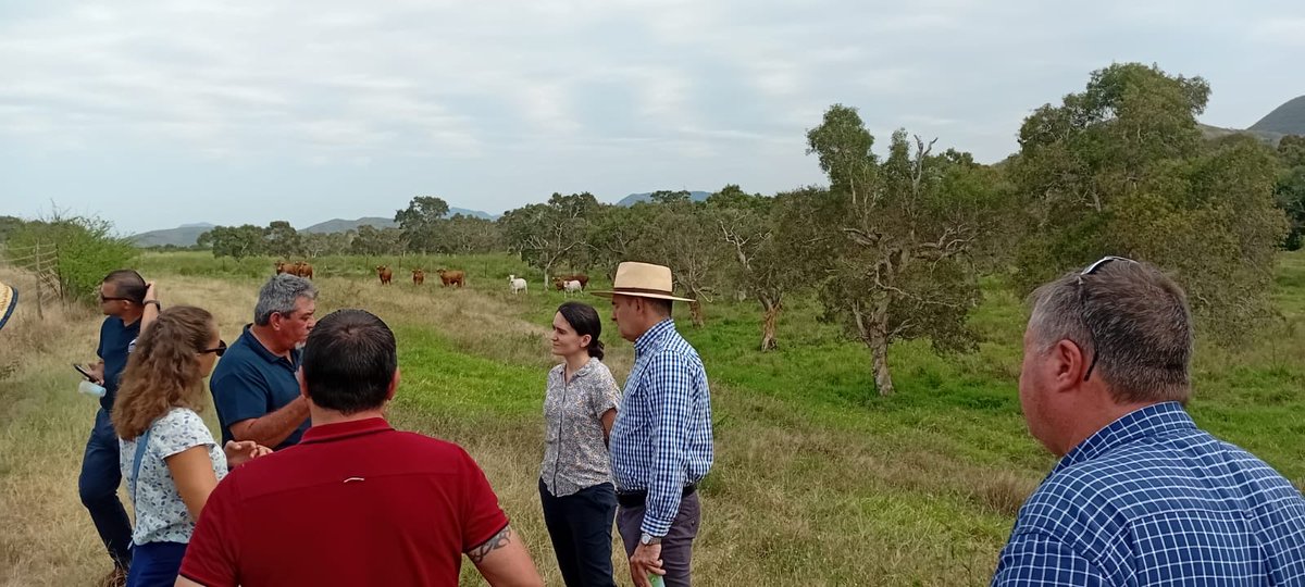 🧩 #MINC | Déplacement à Boulouparis à la rencontre d’agriculteurs et d’éleveurs. 

Claire Durrieu et son équipe ont pu visiter une exploitation avant de participer à une table ronde organisée par la @CAP-NC.

Les filières ont pu présenter leur situation et leurs idées pour