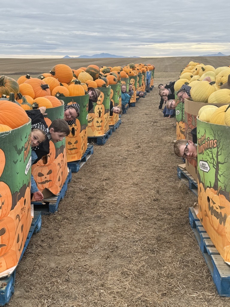 Prairie Rose SD8 tweet media