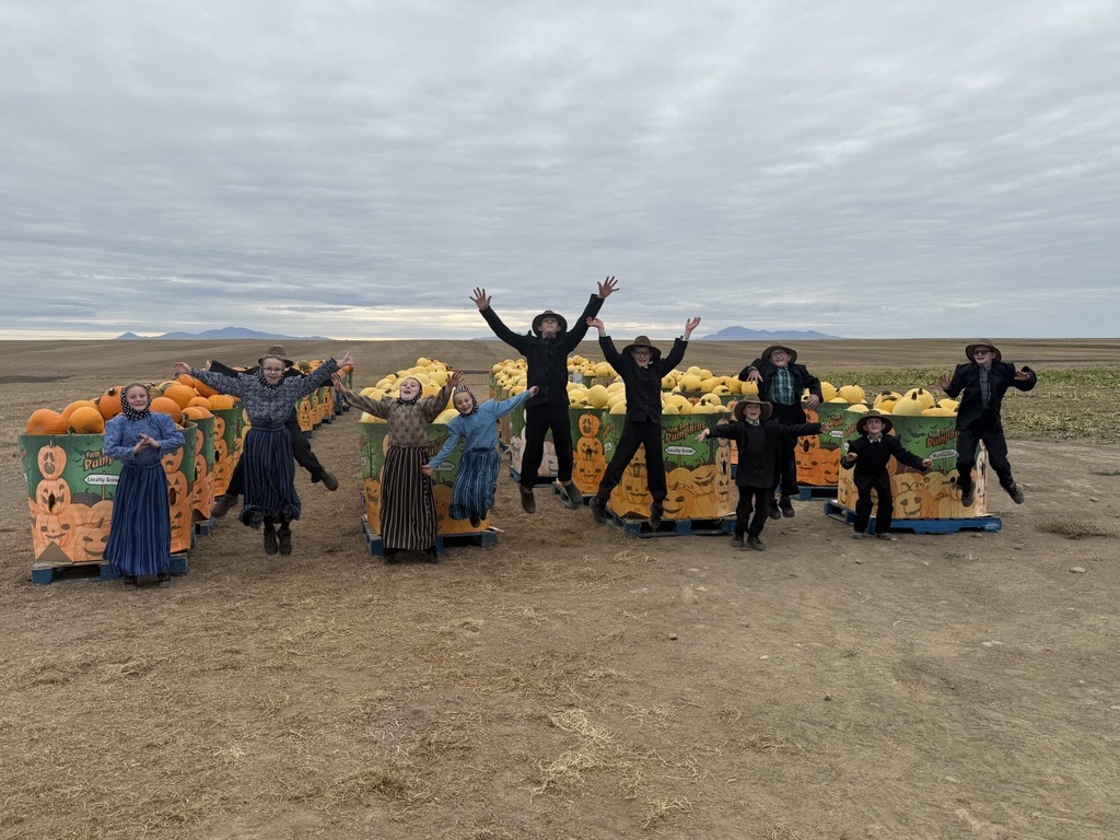 Prairie Rose SD8 tweet media