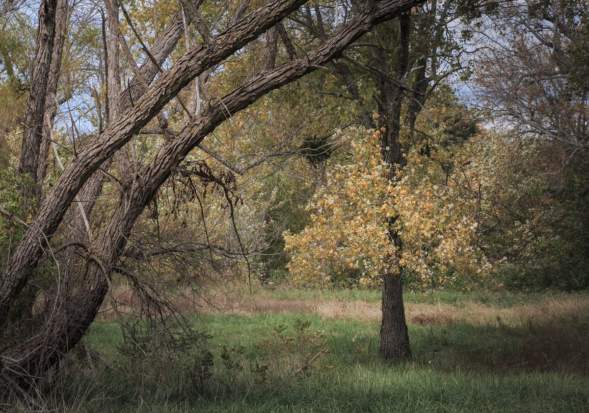 Various Fall pics from last 2 years #nwarkansas