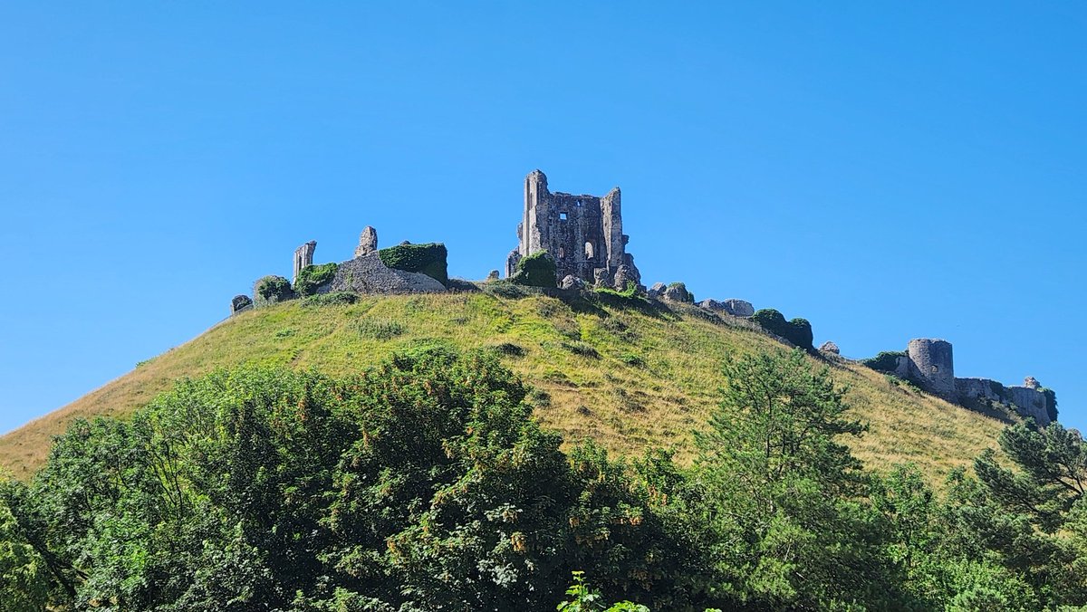 Installation00 tweet media