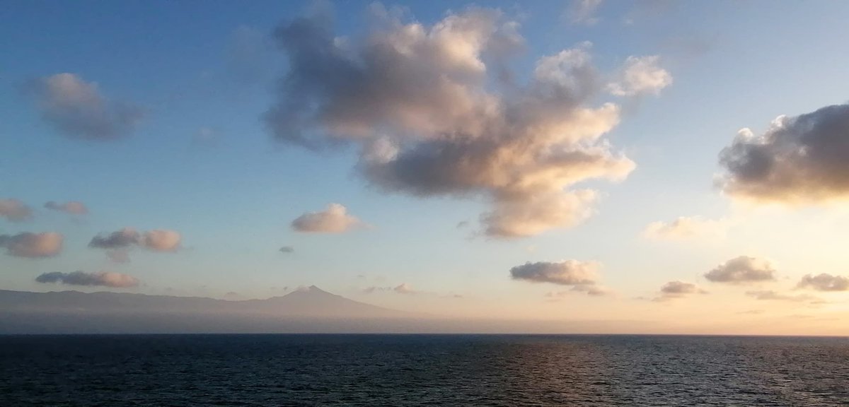 Pero si tenemos la poesía. Tenemos la tierra viva y el océano vivo. Tenemos el olor del azahar y el desnudo de la persona amada. Tenemos el alfabeto de las nubes y la canción de los grillos. ¿Cómo vamos a permitir que triunfen el odio, la crueldad, la extinción?