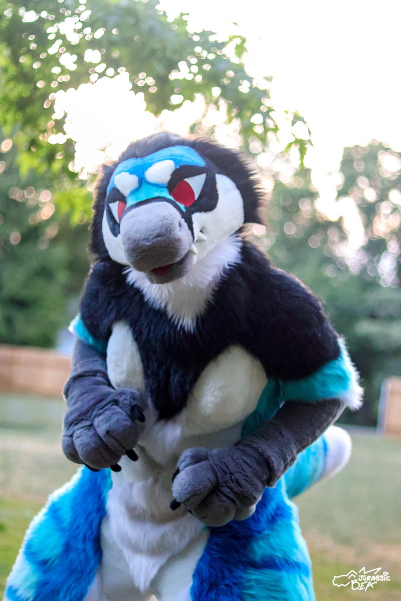 Smile!! It's #FursuitFriday!!

✂️ <a href="/hounds_teeth/">houndsTEETH</a>