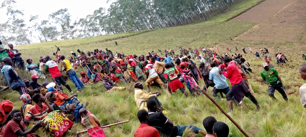 #Kayanza 3/10/2025
Yitwa #HAKIZIMANA_Pascal,umurimyi w'akarorero kugiterwa c'ivoka aho wenyene yateye ibiti 3000 kuri ha 8.Unomunsi akaba yagendewe n'umunyamabanga wa <a href="/CnddFdd/">CNDD-FDD</a> muri komine .Akaba yamusavye gukurikirana uwo murima udasanzwe,cane can muku grefa kugihe 
<a href="/R_Ndikuriyo/">Ndikuriyo Révérien</a>