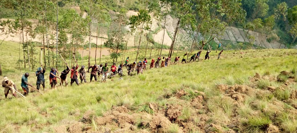 CnddFddButanyer's tweet image. #Kayanza 3/10/2025 Umunyamabanga wa @CnddFdd muri komine yazindutse mubikorwa vyo kurima igitara c'umurima w'amavoka kumutumba #Ryamukona.Uwo murima ukaba uzoba upima hegitare 7 bakaba bamaze kuwuteramwo ibiti 2000.Akaba yasavye abagumyabanga gukurikirana ico gitara
@R_Ndikuriyo