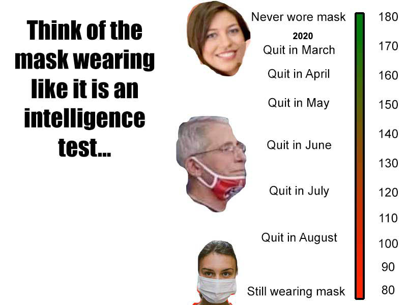 Terranomaly - Constitution Rock tweet media