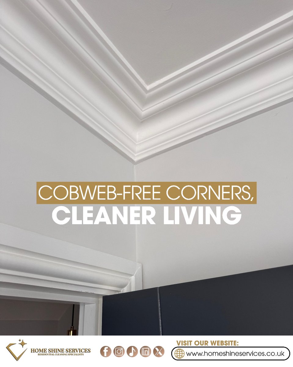 Home Shine Services tweet media