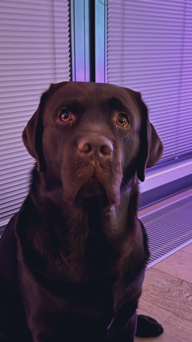 23:21

Toobs vindt dat het allang bedtijd is geweest 😳😂