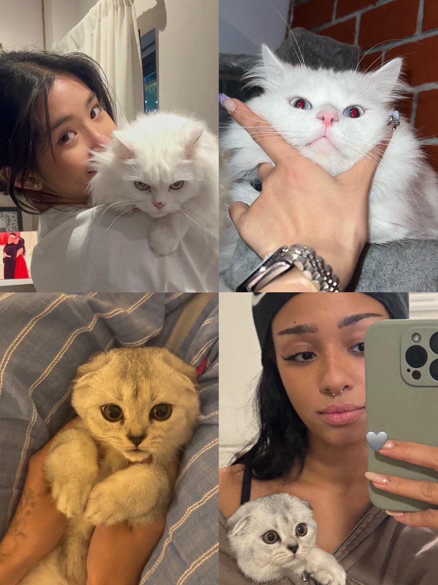 formaphinz's tweet image. 