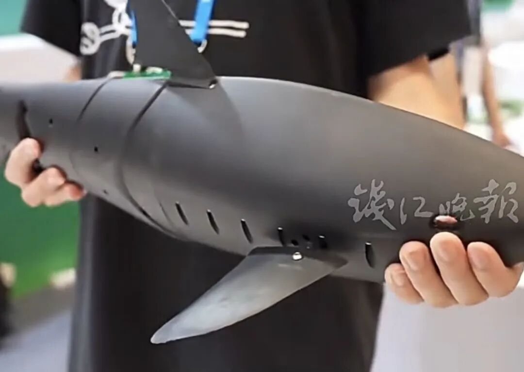 🇨🇳 The Chinese city of Hangzhou has introduced self-developed bionic fish into its West Lake in order to monitor foreign objects, water quality and pollution. 
They have the advantage of being able to move while blending in with the wildlife, leaving it undisturbed.