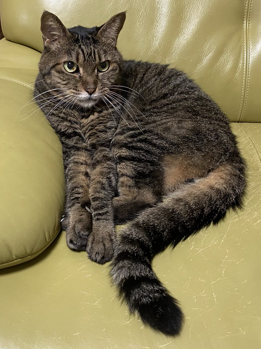 涼しくなりましたね