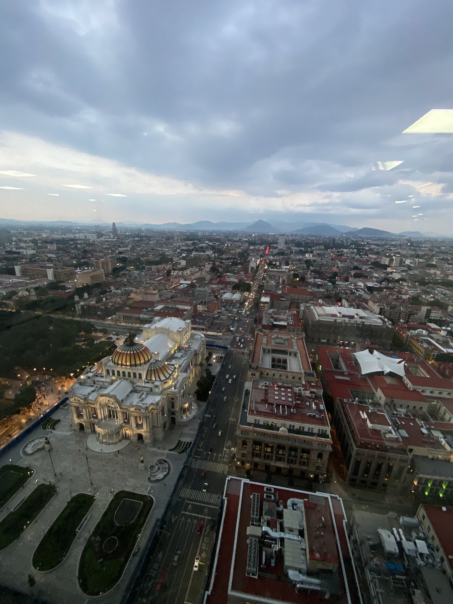 Harald Barrett tweet media