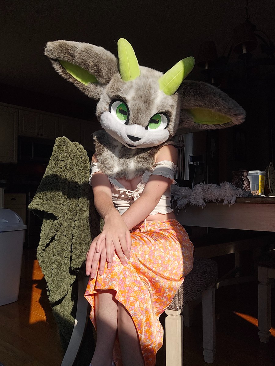 Mellow 🦖🦴 🔜 AC MFF 2025 tweet media