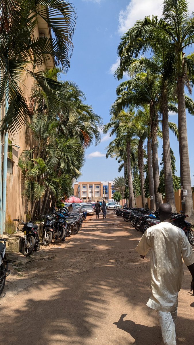 tech_trav's tweet image. No argument: The Pixel 6a&apos;s camera is still an absolute beast. Point and shoot results are consistently great, even against newer flagships. The computational magic holds up so well.