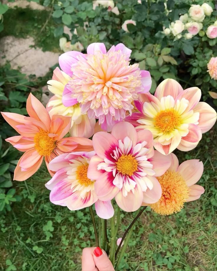 ᅠ ᅠ (@greendreaams) on Twitter photo 