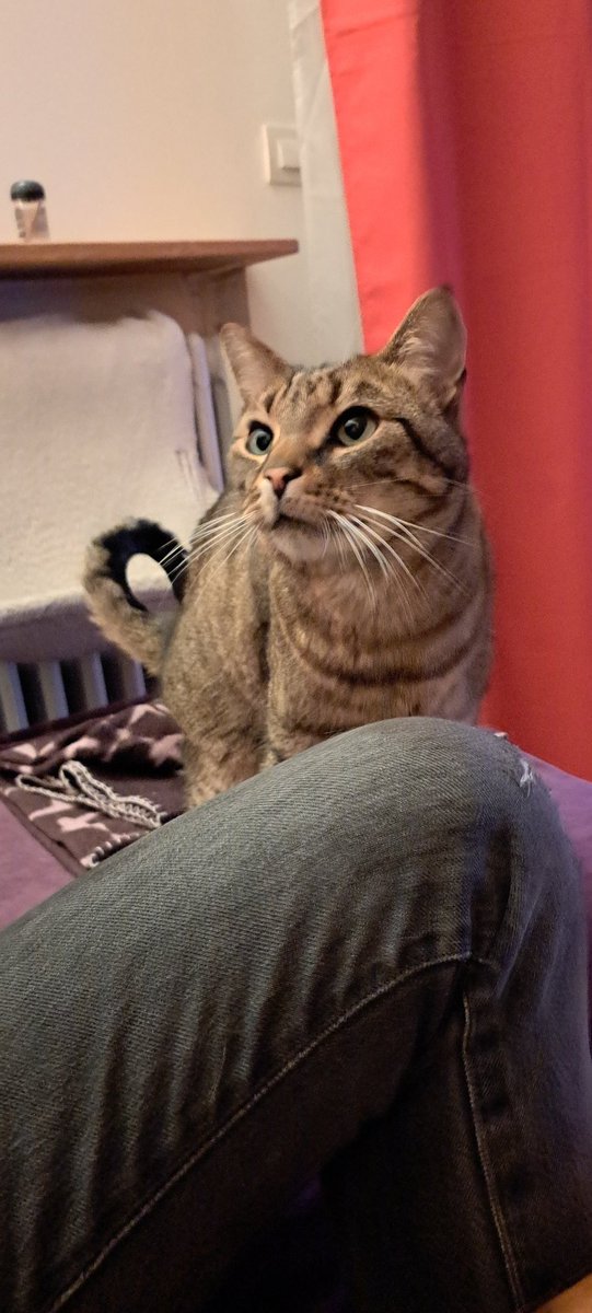 Lovely__Knight's tweet photo. On leur a manqué je crois 🥰 https://t.co/n0rrJMjcJj