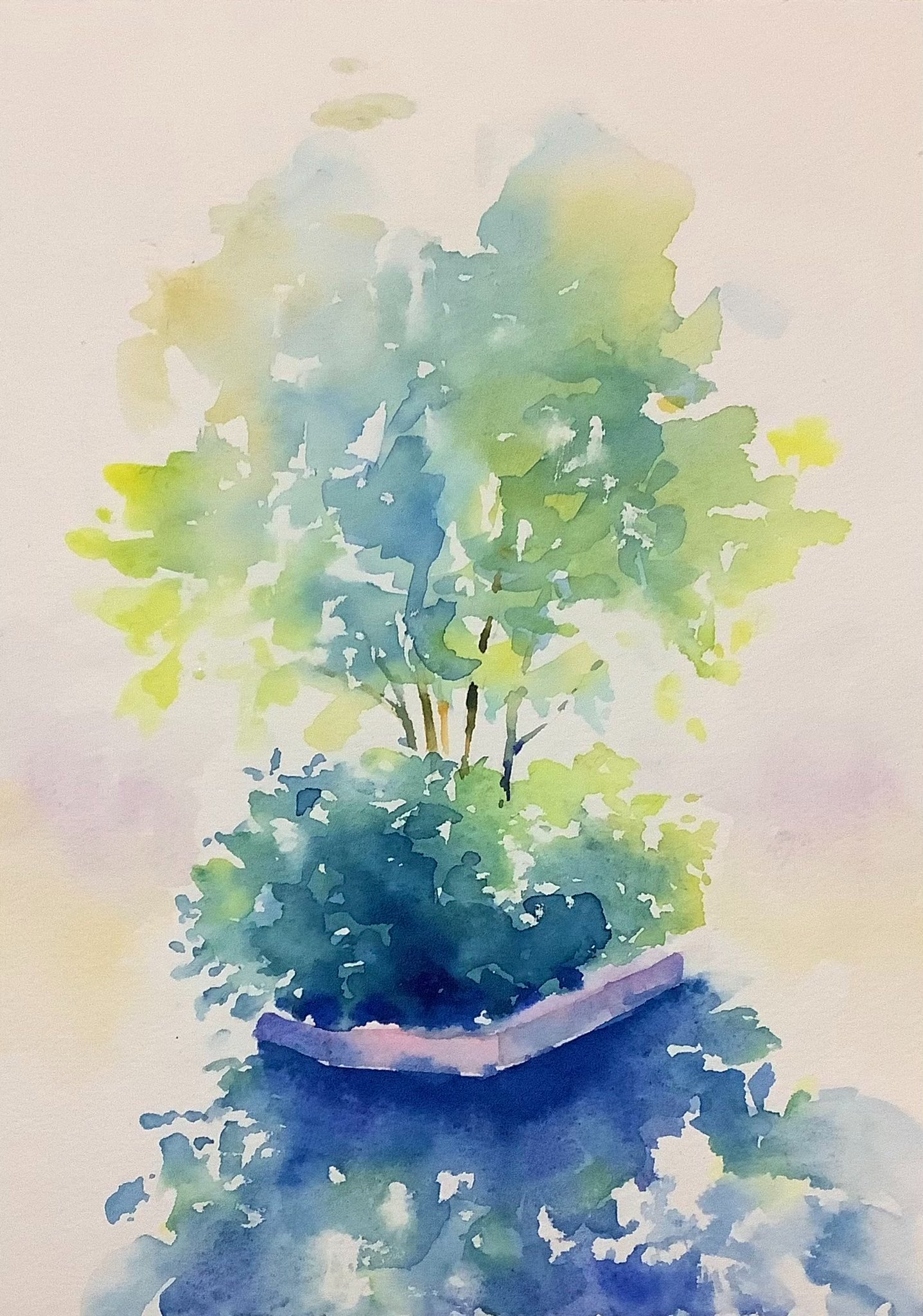 水彩画 image.jpg