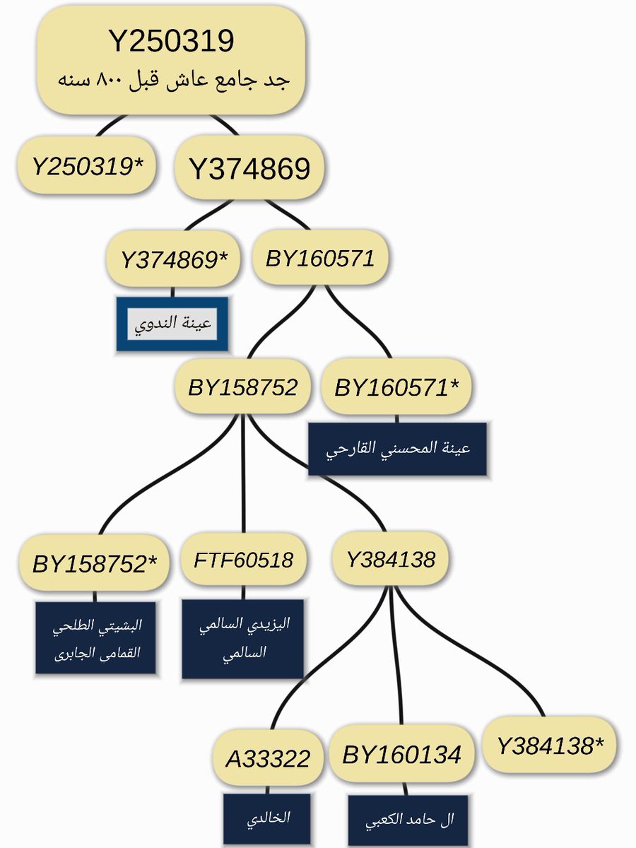#FGC7 
#FGC4316 

التحديث الأخير لفروع التحور  #Y250319 

هذا كل مايخص سعد هذيل المزعوم : 

📌 7 عينات من آل جميل .
📌 1 عينه مزوره بإسم الندوي .
بعمر التقاء 800سنه 

و لضخامة المشجره و كثرة العينات إستعنت ببرامج لإستيعابها