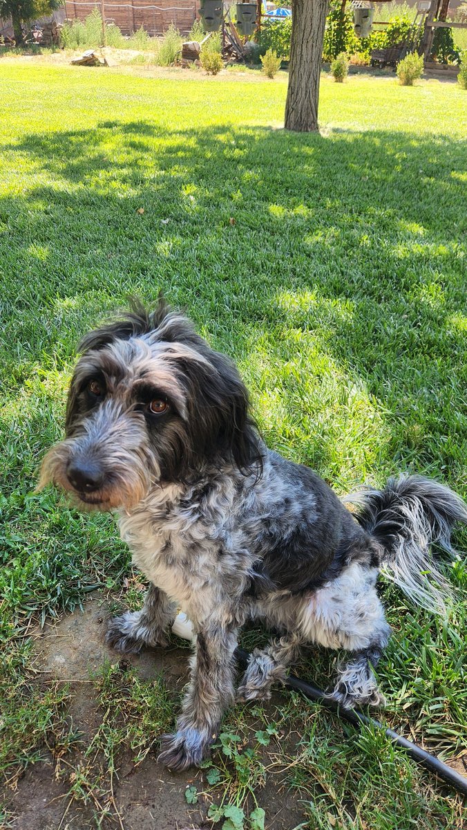 Mischa ✨ tweet media