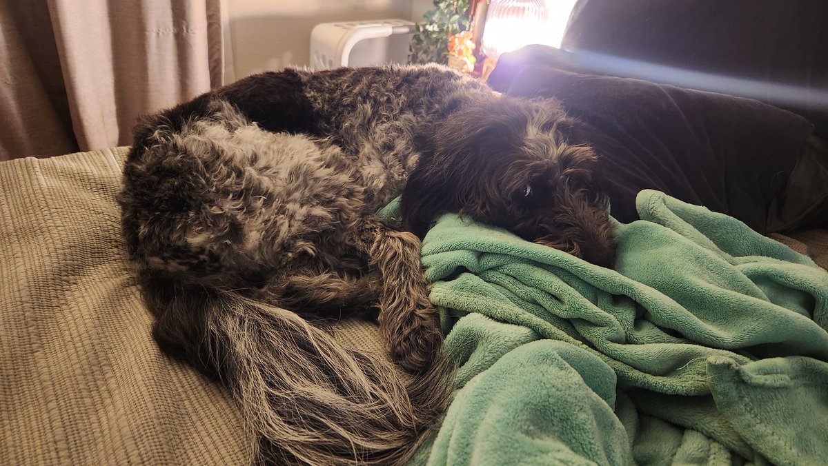 Mischa ✨ tweet media