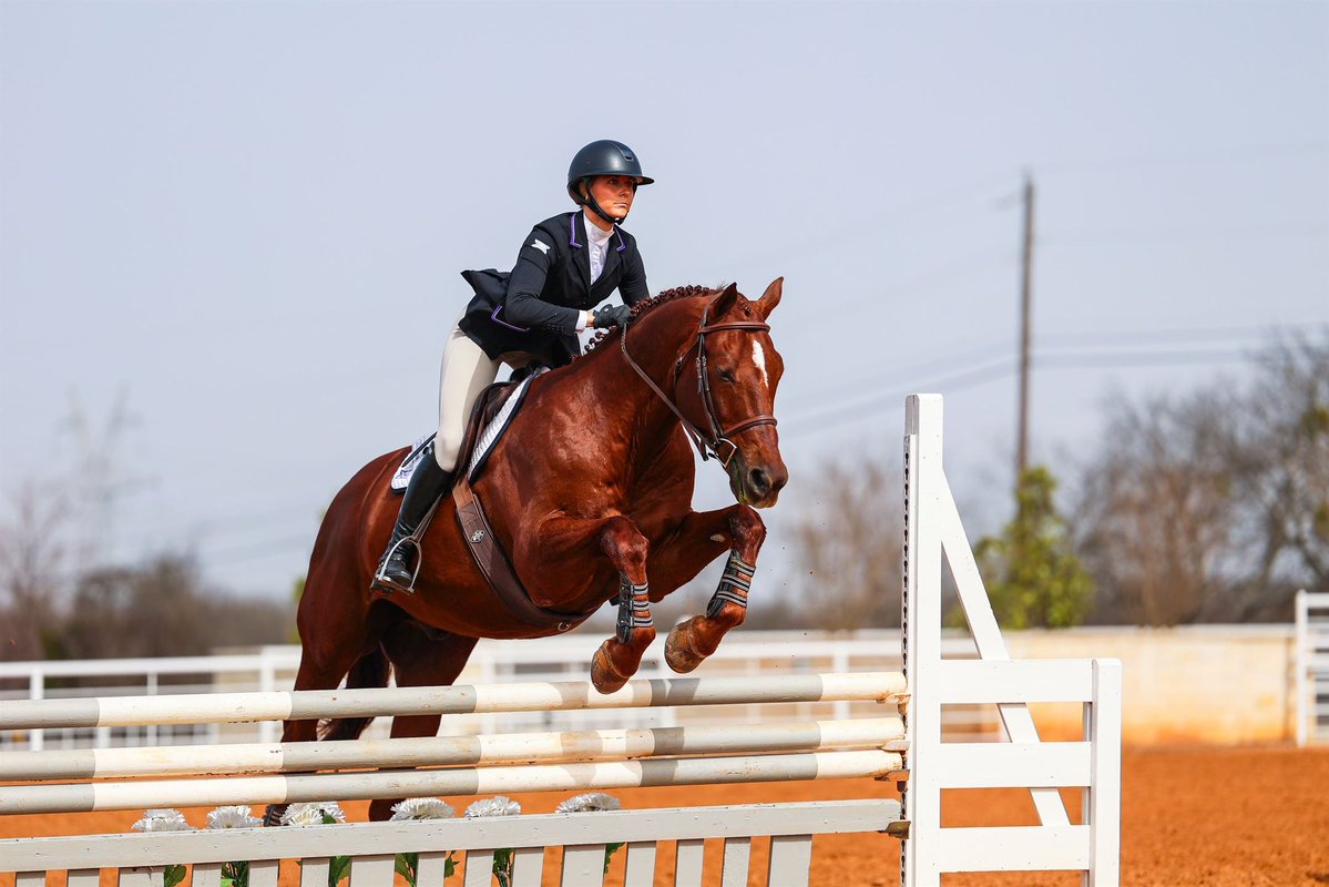 TCUStatsInfo's tweet image. During @TCUWEquestrian’s season opening victory, Lex Lipacis became the first Frog to win two MOPs in two different events since Giorgia Medows (Horsemanship and Reining) on March 1, 2024 against Baylor.