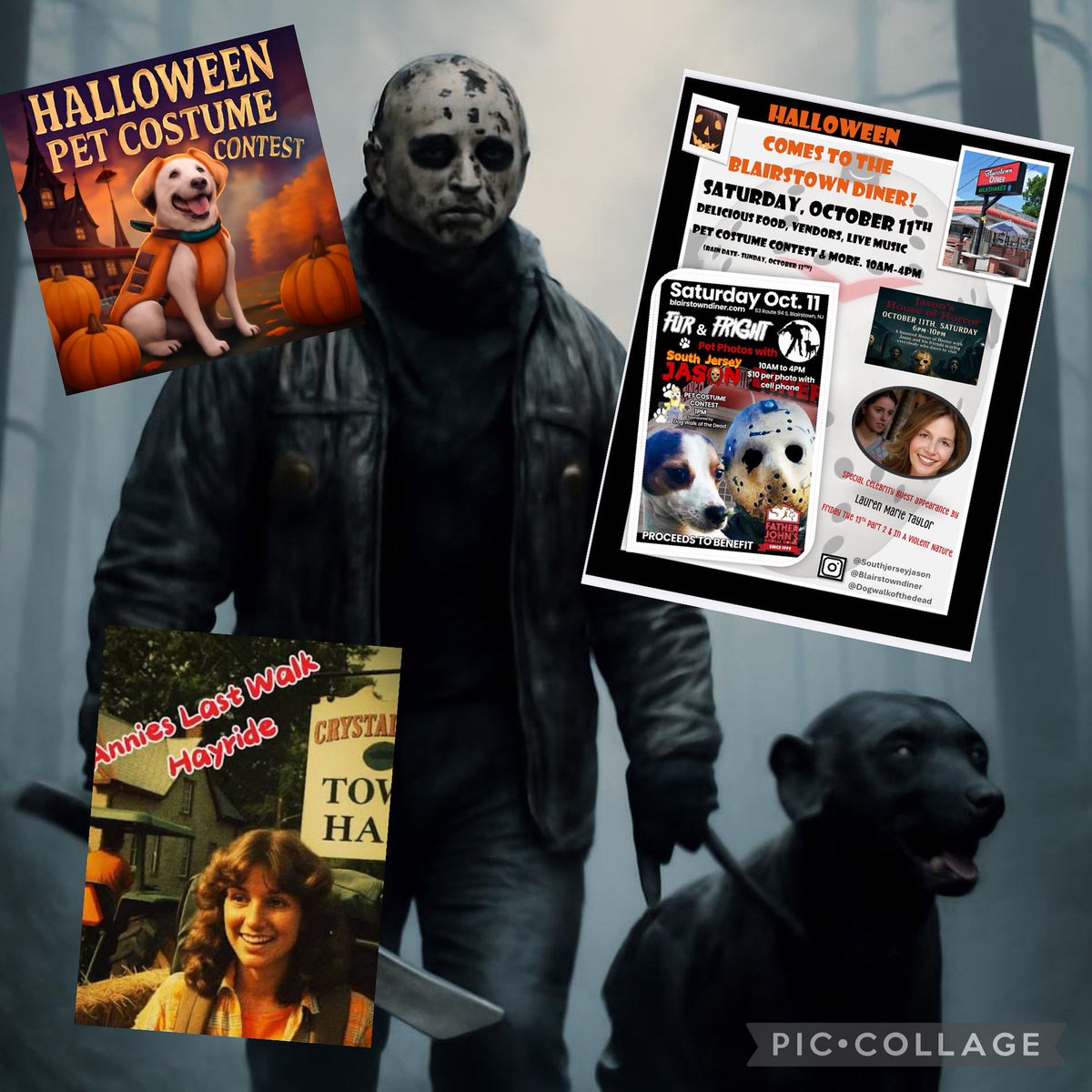 DogWalkOfTheDead tweet media