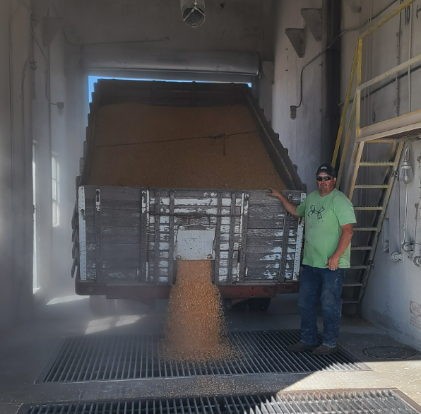 FarmCoopElevCo's tweet photo. Hay Springs got it's first load of #harvest2025 #corn on Tuesday from Jason Dahlgren. https://t.co/CZWj9Pgbev