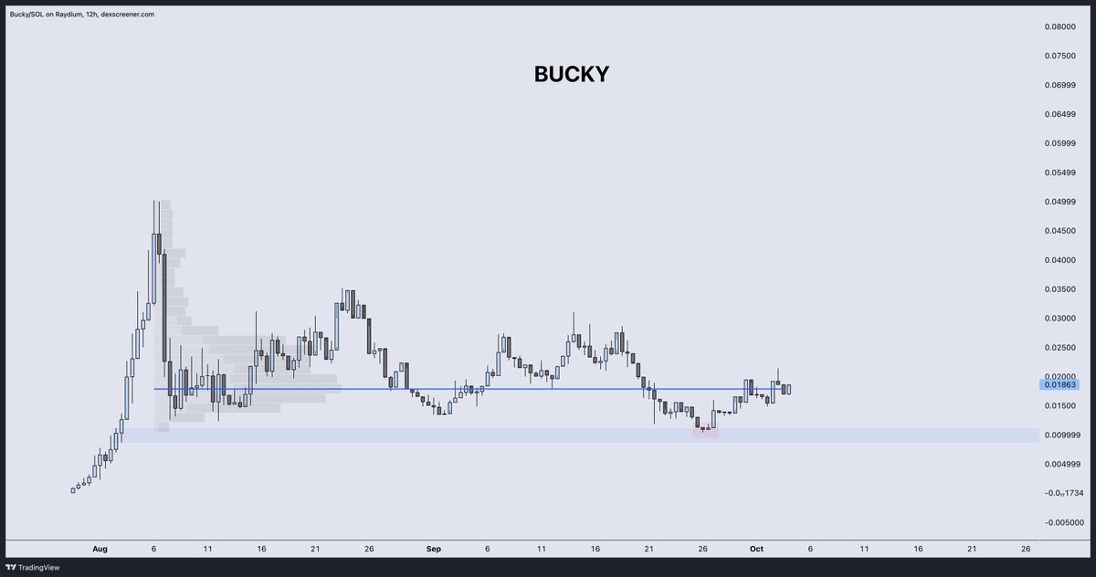 Tick Tock. 

$Bucky to a Buck.

$Bonk hasn't even ripped with $Doge yet.

Book it.