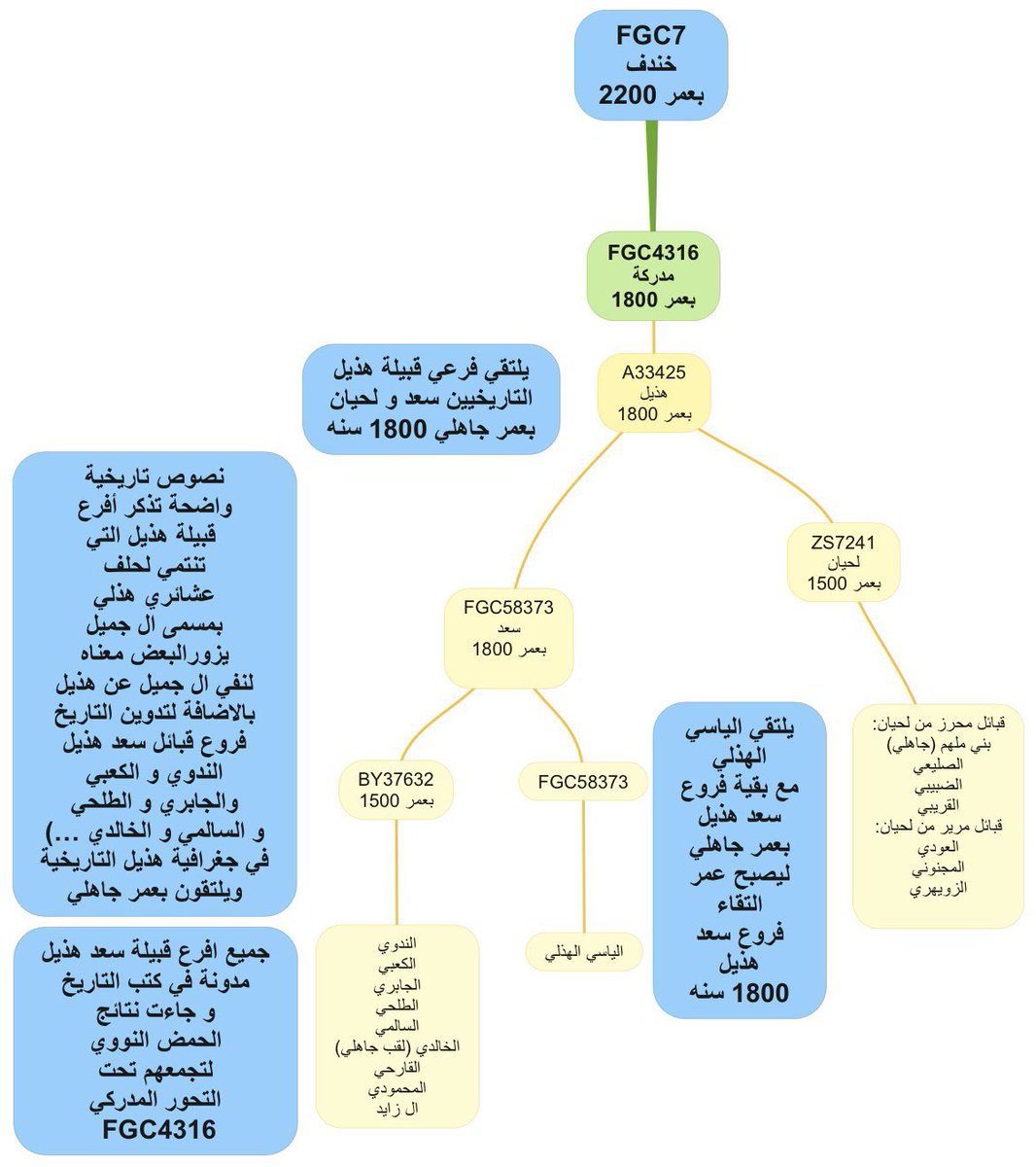 غير صحيح طبعا الندوي و الكعبي و السالمي و القارحي و الخالدي الهذليين بعضهم بفروع جاهليه و غيرهم عمر التقائهم 1500 سنه ثم يلتقون بالياسي بعمر 1800 سنه ثم يلتقون بلحيان هذيل ثم بباقي مدركة بني هاشم و قريش و كنانة و عضل و أسد ثم تميم و مزينه #Fgc7 #Fgc4316