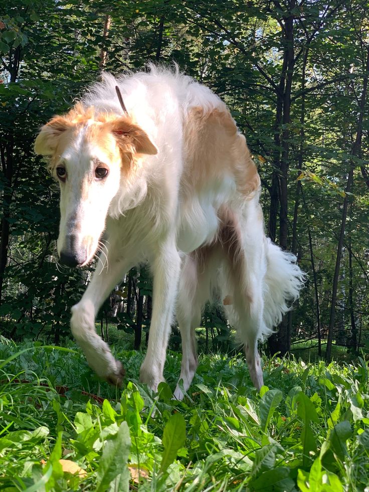 Grel 🌨️ tweet media