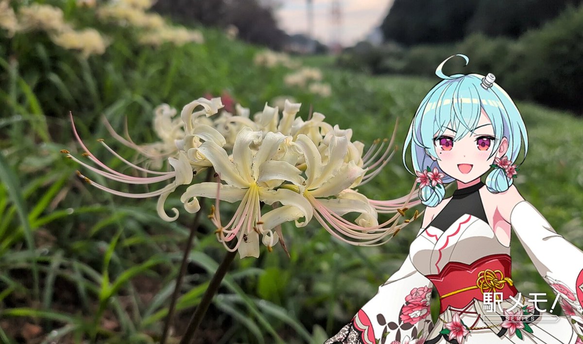 週末のおはようございます✨️
天気崩れそうですかね、雨具を忘れずに

「お休みの方もお仕事の方も、スマイルで良い一日をすごすですよ～🩵」