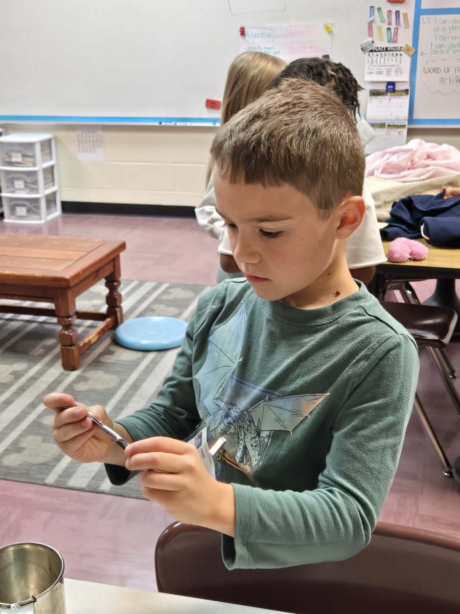 Kimberleigh Taylor (@historynerdtchr) on Twitter photo Even 1st & 2nd enjoyed exploring the #CivilWar traveling trunk from <a href="/Battlefields/">American Battlefield Trust</a>. #goinggifted #WeareRACERS #UnlockPotential <a href="/RCE_HCS/">RCE_HCS</a> <a href="/SocialST_HCS/">Social Studies Professional Learning Specialists</a> Even 1st & 2nd enjoyed exploring the #CivilWar traveling trunk from <a href="/Battlefields/">American Battlefield Trust</a>. #goinggifted #WeareRACERS #UnlockPotential <a href="/RCE_HCS/">RCE_HCS</a> <a href="/SocialST_HCS/">Social Studies Professional Learning Specialists</a>