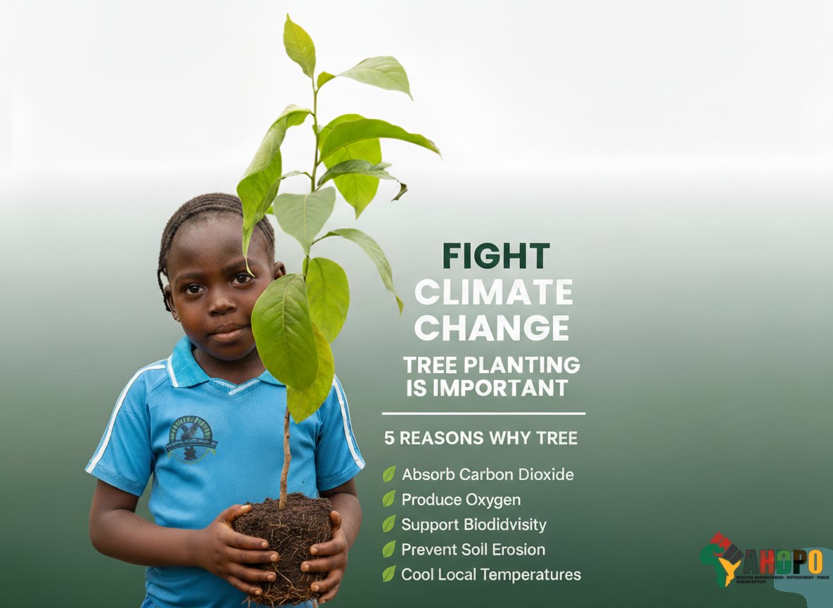 ahdpongo's tweet photo. A single tree can make a world of difference! We believe tree planting is key to fighting the climate crisis. It helps us absorb carbon dioxide, produce oxygen, and protect our soil. Join us in planting a greener, more sustainable future for Africa's children.
#ClimateAction https://t.co/fIhCTaLR7g