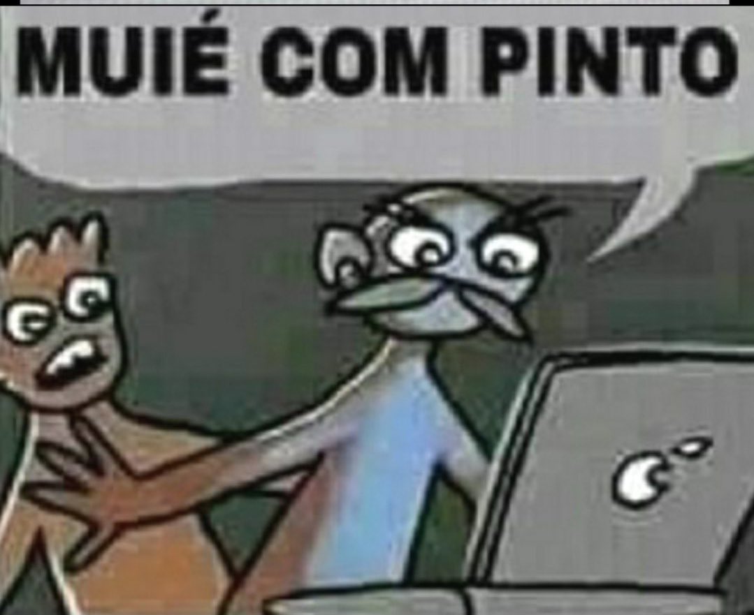 Capim360's tweet photo. @JoaquinTeixeira https://t.co/UrHiJQuC2l
