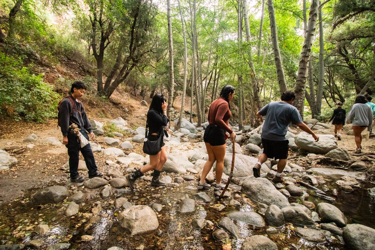 meadow_so's tweet photo. Here’s what we got up to: 
✨ A guided plant foraging walk with lessons about the local herb life
✨ A cyanotype workshop using the plants we found 
✨ A cookout-style, chef-prepared meal to close out the day https://t.co/XOAvtYzHMi
