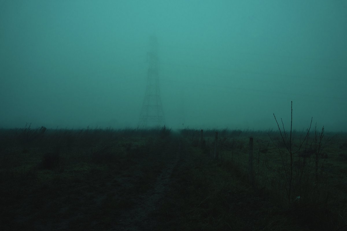 zosphotos's tweet image. Mornings spent in the fog