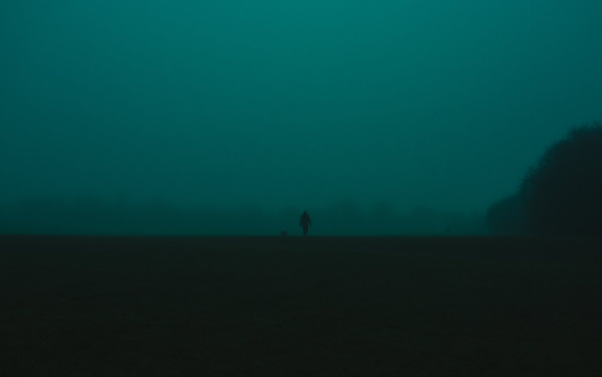 zosphotos's tweet image. Mornings spent in the fog