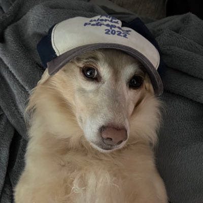 birbrock's tweet photo. #NewProfilePic https://t.co/nwRCzGA96N