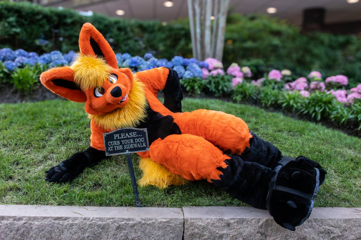I ain't a dog. What're YOU gonna do about it, dog walker? It's a sign, not a cop.. and your name ain't Jenny now, is it?

📍: Rittenhouse Square, Philadelphia
📷: <a href="/zawnbre/">Zawnbre</a> 

Happy #FursuitFriday ~