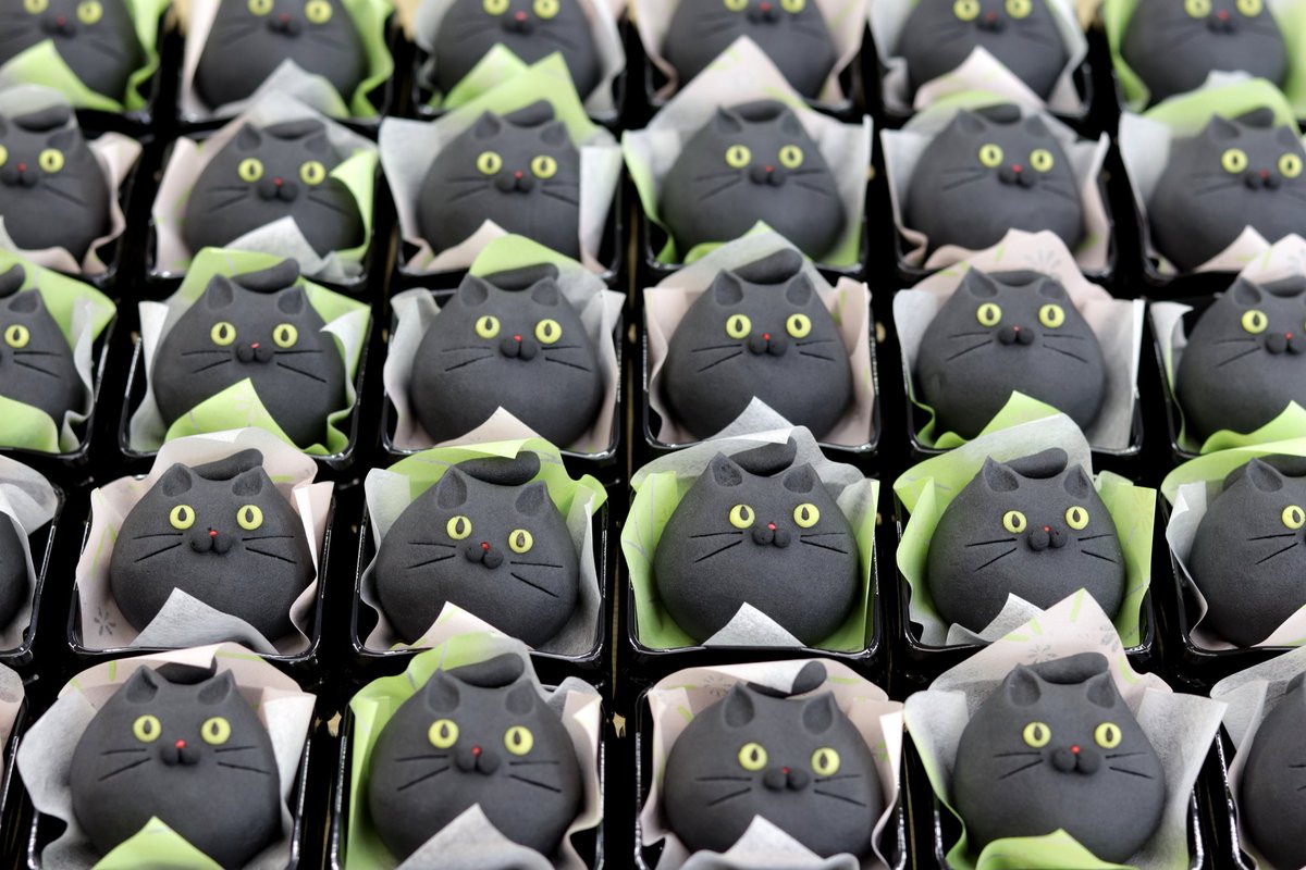 こねぎページ とっちー on X